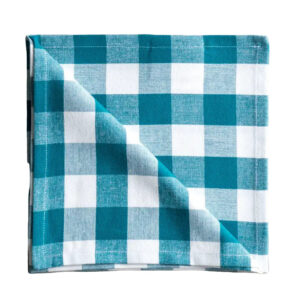 Napkins Teal Checkered (set of 2)
